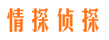 沙坪坝侦探公司